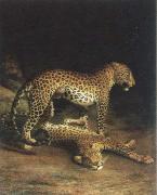 Jacques-Laurent Agasse two leopards playing painting
